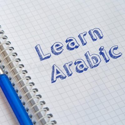 مهم ترین زبان ها برای یادگیری