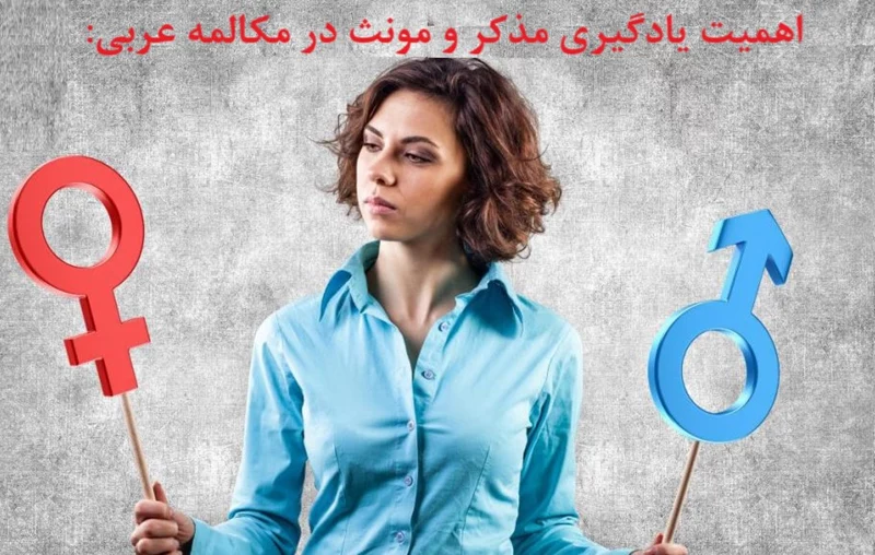 اهمیت یادگیری مذکر و مونث در مکالمه عربی: